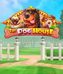 Experience Pragmatic Play's The Dog House Slot, featuring a fun-filled journey through charming canines. Engage in gameplay elements such as free spins, perfect for delivering joyful moments. Ideal for those who enjoy an amusing atmosphere alongside lucrative rewards.